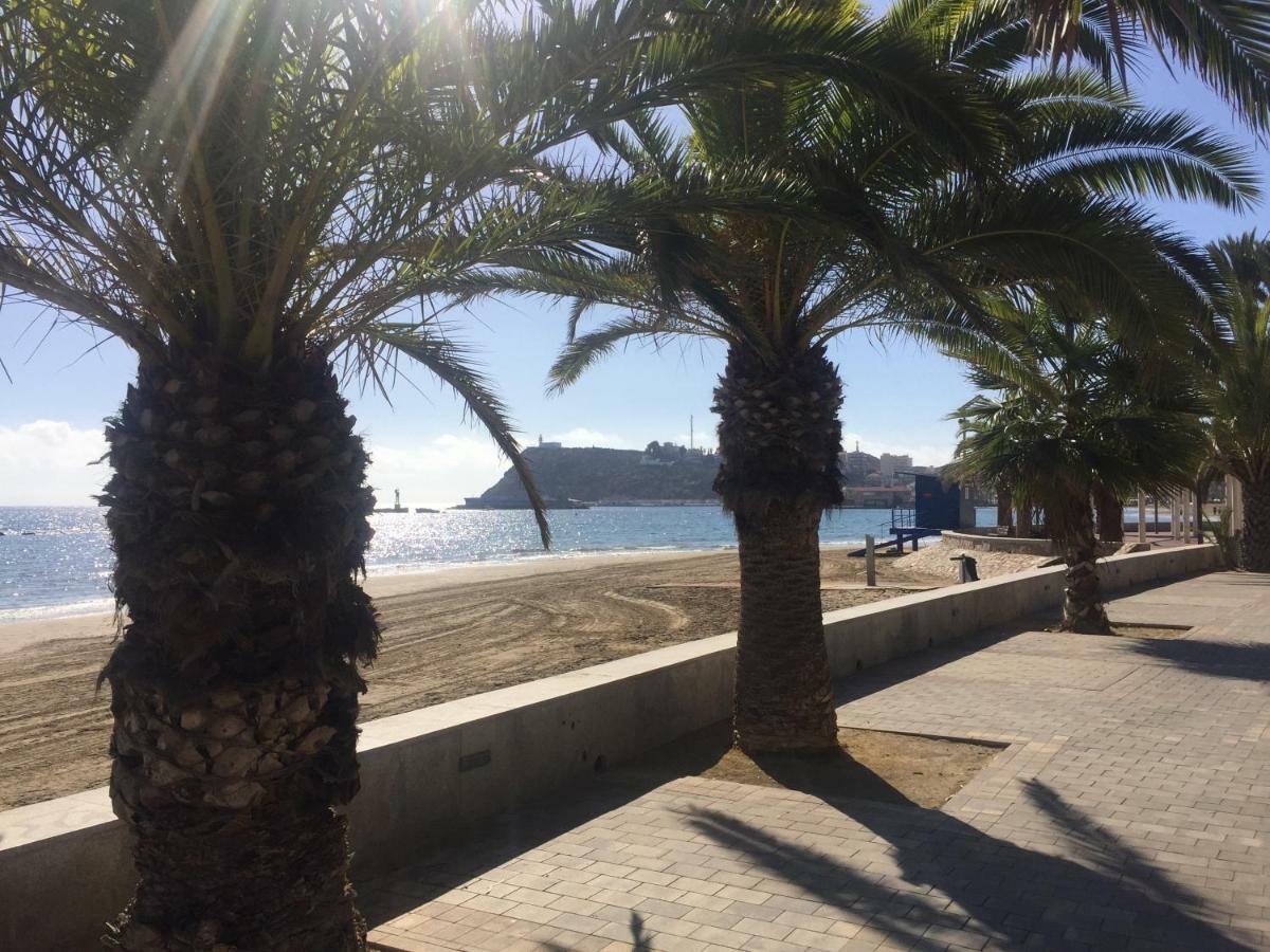 Apartament Penthouse El Romero